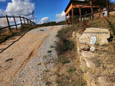 Siamo cos� andati a far visita alla fattoria, raggiungibile percorrendo da Acerenza la provinciale 6. Dopo un paio di chilometri un cartello indica di svoltare a sinistra verso una strada sterrata: quella che conduce davanti all�ingresso dell�allevamento